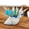 Muscheln – Bild 4