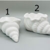 Muscheln – Bild 5