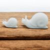 Schnecke